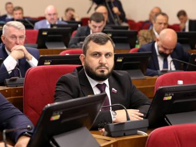 Решения семнадцатого заседания Думы Ставропольского края